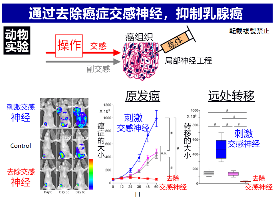 味覺、聽覺與寫作，AI不動聲色地步入我們的生活