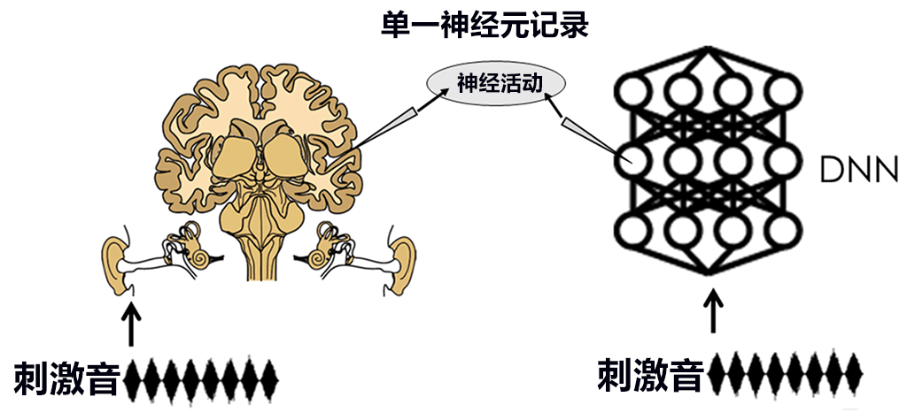 味覺、聽覺與寫作，AI不動聲色地步入我們的生活