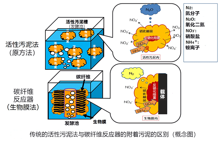 碳纖維反應器大幅削減養豬部門污水淨化處理設施的溫室氣體排放量