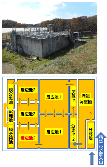 碳纖維反應器大幅削減養豬部門污水淨化處理設施的溫室氣體排放量