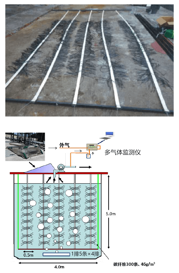 碳纖維反應器大幅削減養豬部門污水淨化處理設施的溫室氣體排放量