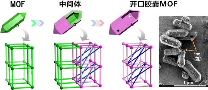 日本合成膠囊狀多孔配位聚合體，開發不使用稀有金屬的電極觸媒