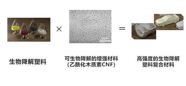 京都大學等發現高生物降解性塑膠用強化纖維