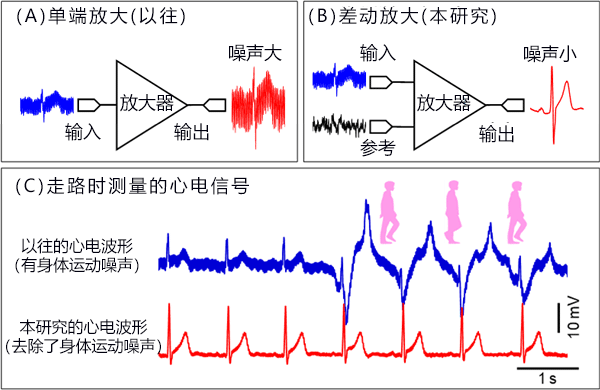 東京大學開發出透過光控制基因體編輯的新技術