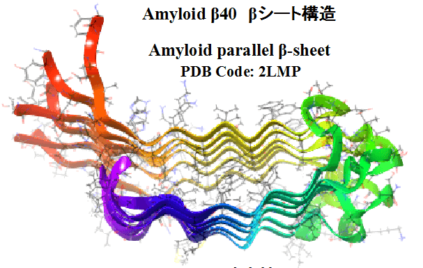 阿爾茨海默氏症β-澱粉樣蛋白沉積物機制被揭開