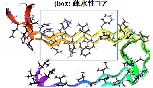 阿爾茨海默氏症β-澱粉樣蛋白沉積物機制被揭開