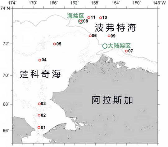 北冰洋浮冰減量會導致氮循環改變