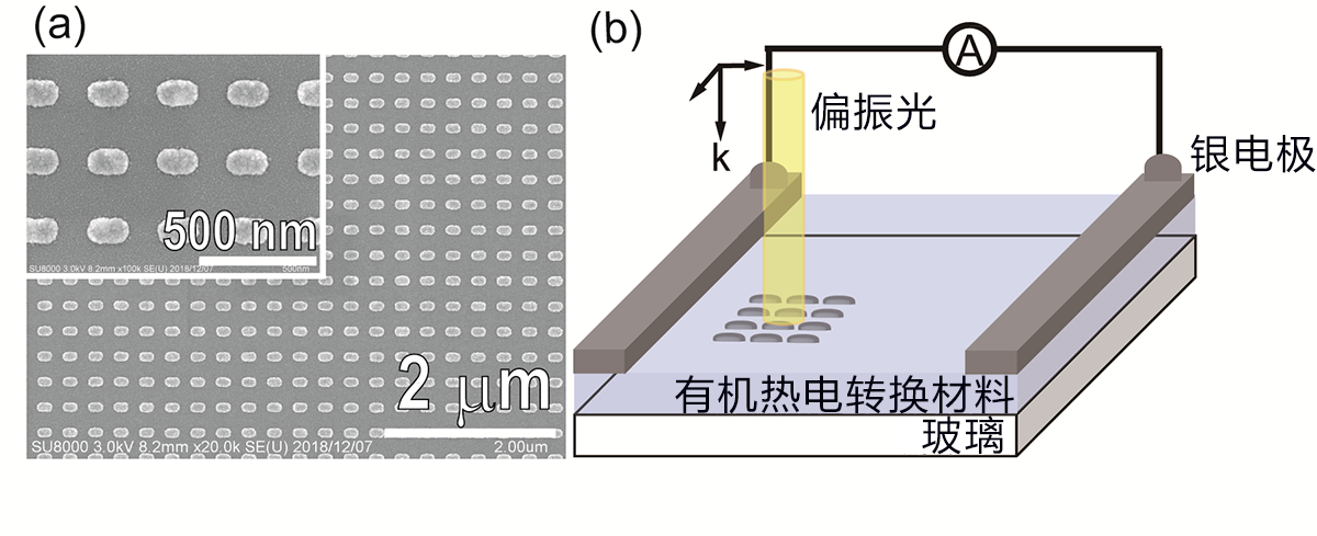 東京農工大開發出新型光偵檢計，組合使用電漿和焦熱電轉換材料