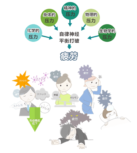 阪大發現測定心理壓力的血液指標物，明確精神壓力的大小