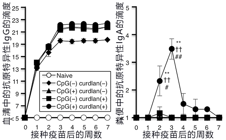 日本開發出控制腸道細菌引發疾病的新型粘膜疫苗