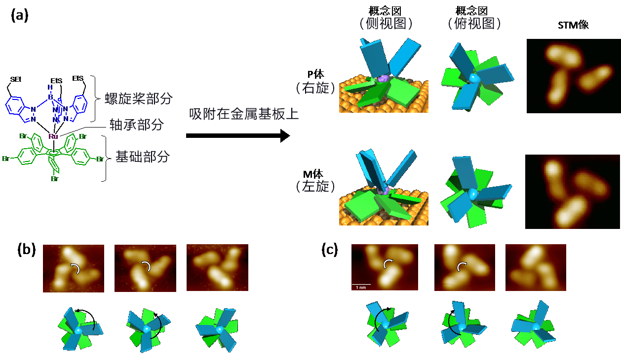 奈米機器實施在望——兩個奈米分子齒輪的齧合及旋轉傳動