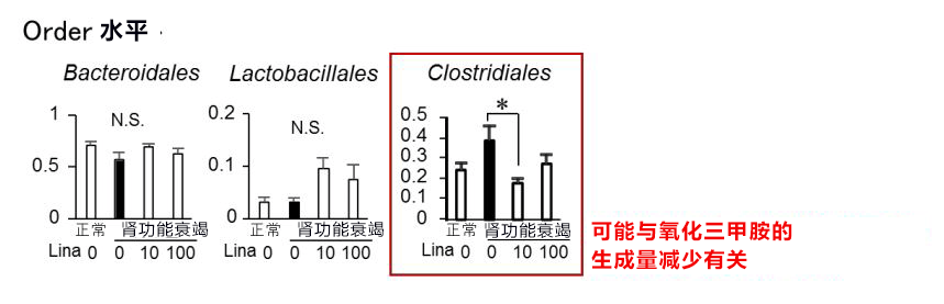 日本東北大學等發現便祕藥利那洛肽對腎病也有療效