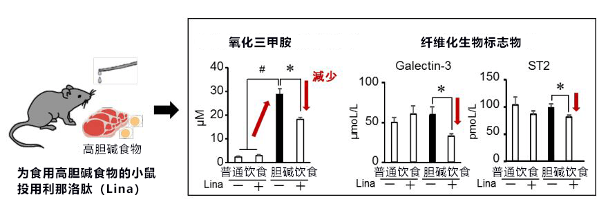 日本東北大學等發現便祕藥利那洛肽對腎病也有療效