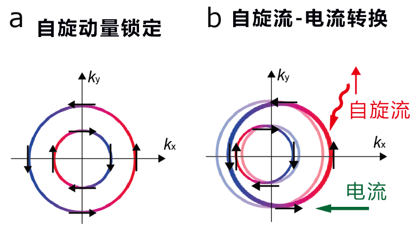 只需在銅上塗覆色料即可實施自旋轉換功能