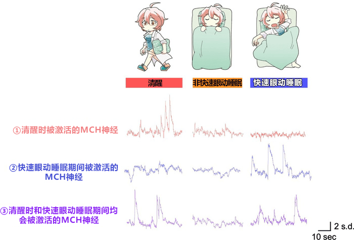 事如春夢了無痕 的機制終於搞清楚了