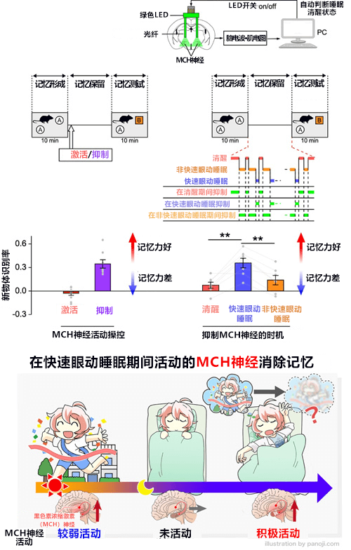 事如春夢了無痕 的機制終於搞清楚了