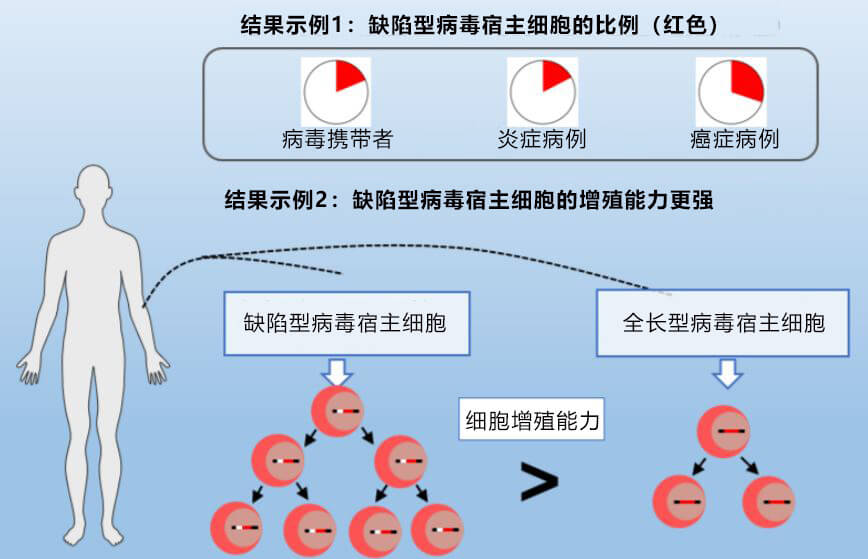 日本建立人T細胞白血病電腦病毒序列的高精度全新檢測方法