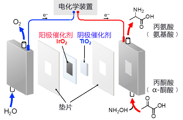 日本利用基於電能的有機酸和水高效合成氨基酸