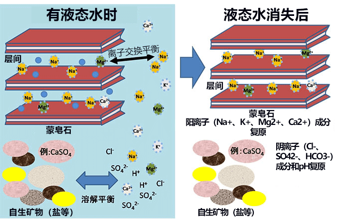 遠古火星曾經有過富含礦物質的鹽水，適合生命生存