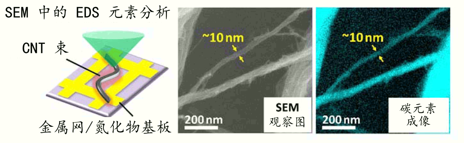 提高空間解析度，用SEM對奈米碳管表面官能基均勻成像