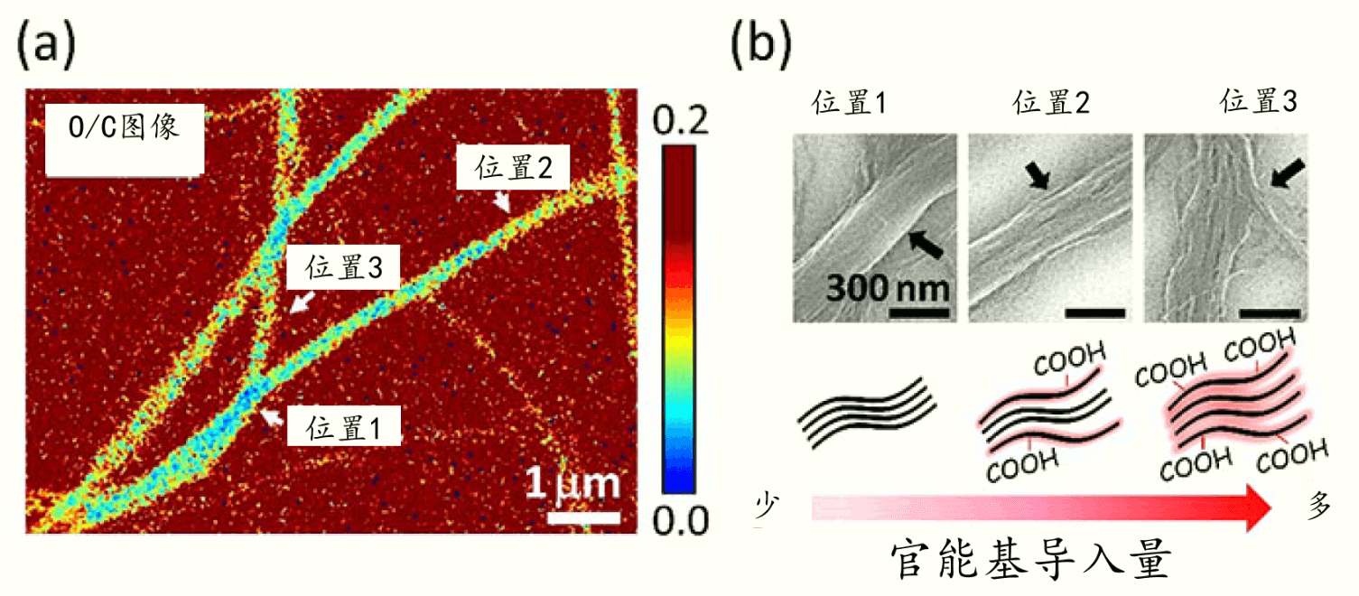 提高空間解析度，用SEM對奈米碳管表面官能基均勻成像