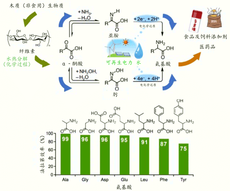 使用電和水高效合成氨基酸，利用再生能源減輕環境負荷