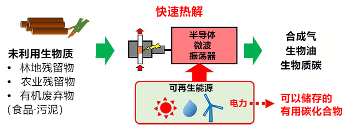 日本發現使抑瘤基因失活的新機制，已在開發新藥