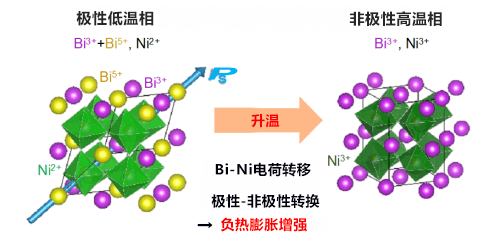 兩種機制同時作用，強化新材料的「熱縮」性能