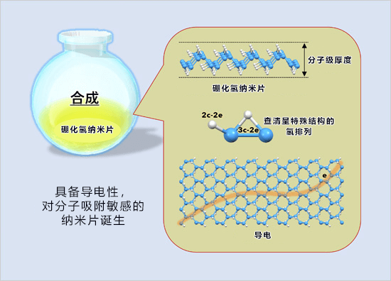 日本開發出可控制導電性的新奈米片材，關鍵在於氫和硼的獨特結構及有機分子吸附