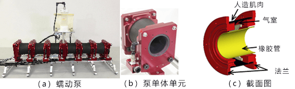 日本製成全球首個能運送沙土的蠕動泵