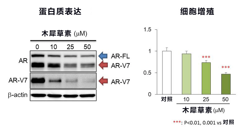 日本開發出兼備高活性和高耐久性的酯化用途固化觸媒