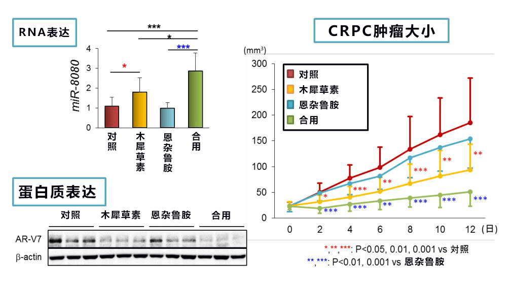 日本開發出兼備高活性和高耐久性的酯化用途固化觸媒