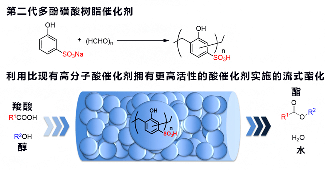 日本開發出兼備高活性和高耐久性的酯化用途固化觸媒