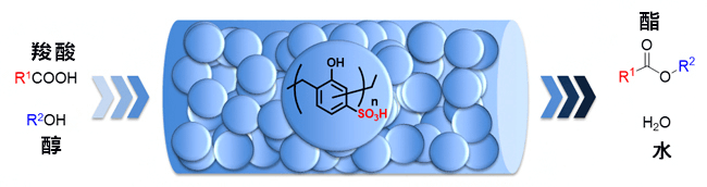 日本開發出兼備高活性和高耐久性的酯化用途固化觸媒
