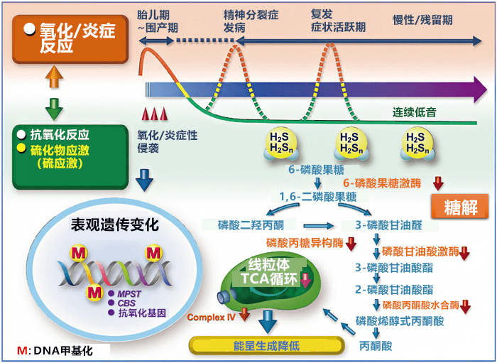 全球首次發現反鐵磁拓撲絕緣體、有望加速發現未知基本粒子軸子