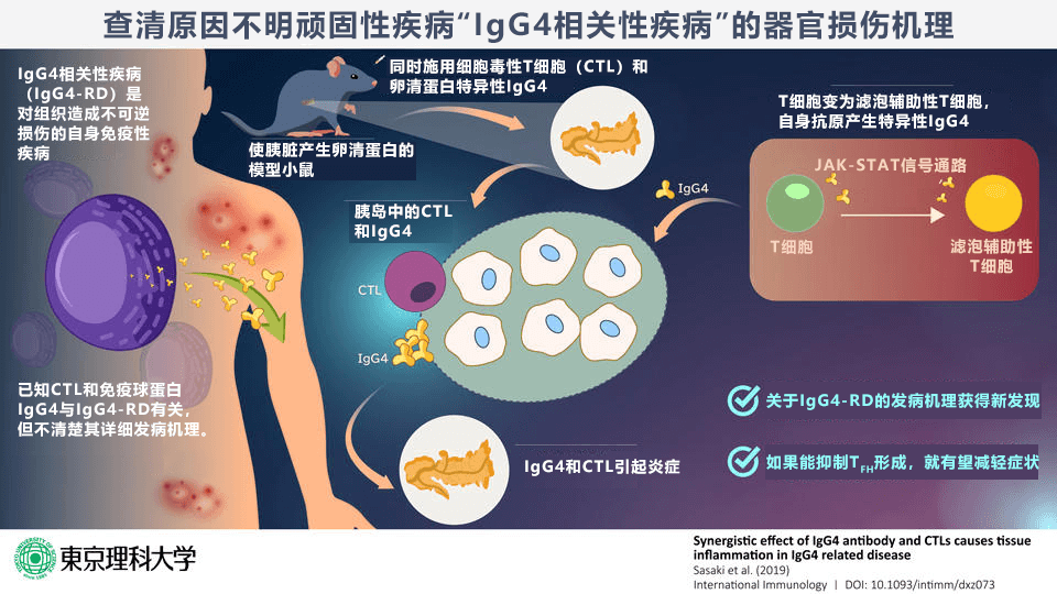 從一場說走就走的旅行看日本人怎麼過年