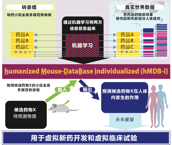 日本開發出預測藥物副作用和功效的AI系統