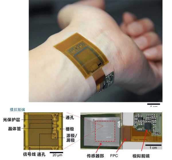 全球首次！日本成功用一枚片狀圖像感測器同時測量指紋、靜脈影像和脈搏