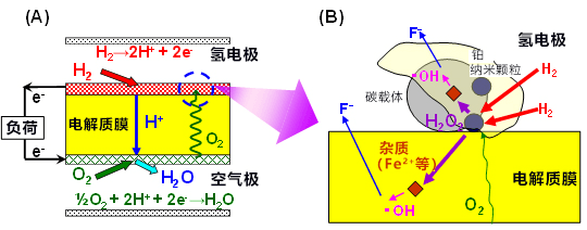 電解質膜耐久性提高4倍以上！日本全球首次開發出大幅抑制燃料電池劣化的鉑‐鈷合金氫電極觸媒