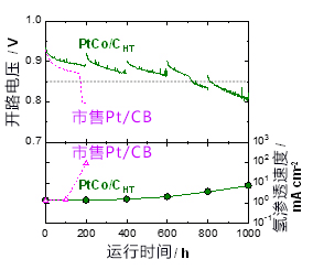 電解質膜耐久性提高4倍以上！日本全球首次開發出大幅抑制燃料電池劣化的鉑‐鈷合金氫電極觸媒