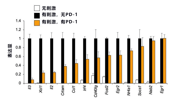 日本查清PD-1調控T細胞基因表現的機制