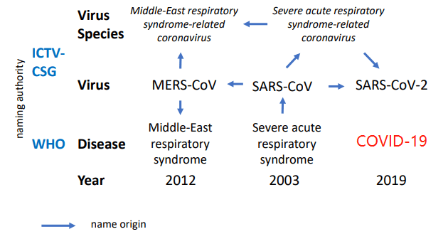 新型肺炎 電腦病毒標準命名爲SARS-CoV-2 病名爲「COVID-19