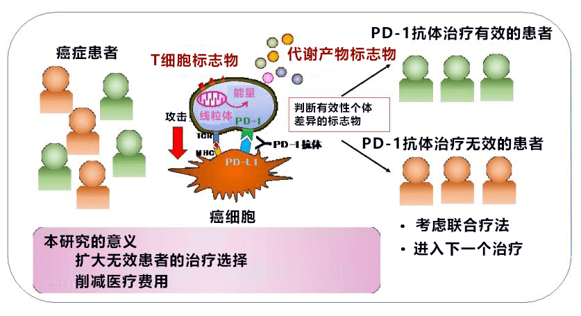 驗血可知PD-1是否有效！日本確定血液中判斷PD-1抗體癌症免疫冶癒有效性的生物標誌物