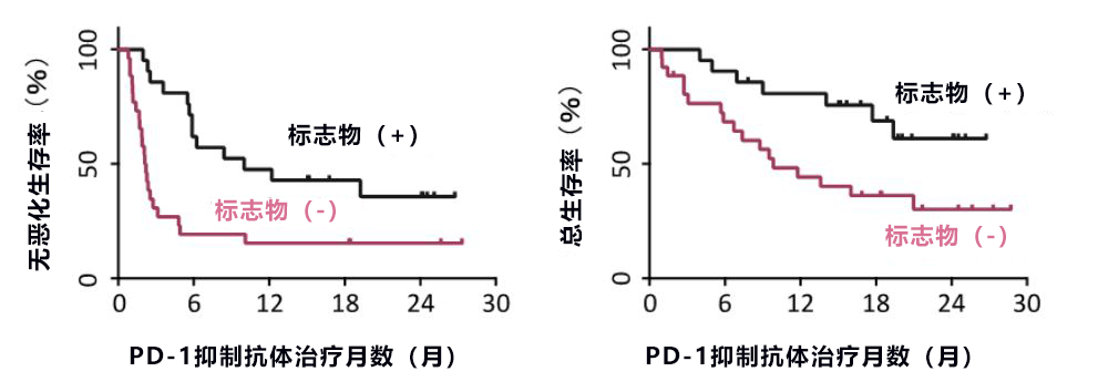 驗血可知PD-1是否有效！日本確定血液中判斷PD-1抗體癌症免疫冶癒有效性的生物標誌物