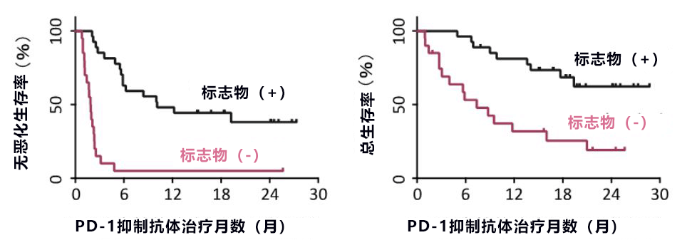 驗血可知PD-1是否有效！日本確定血液中判斷PD-1抗體癌症免疫冶癒有效性的生物標誌物