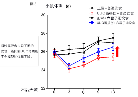 日本發現「六君子湯」能抑制慢性腎病引起的體重下降