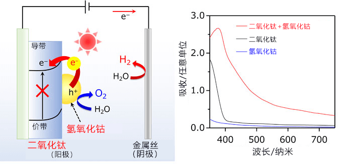 東工大開發出新原理驅動的可見光分解水電極
