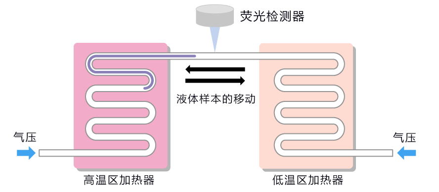 新型肺炎 多管齊下，日本正在推進開發的多種快速診斷技術大彙總