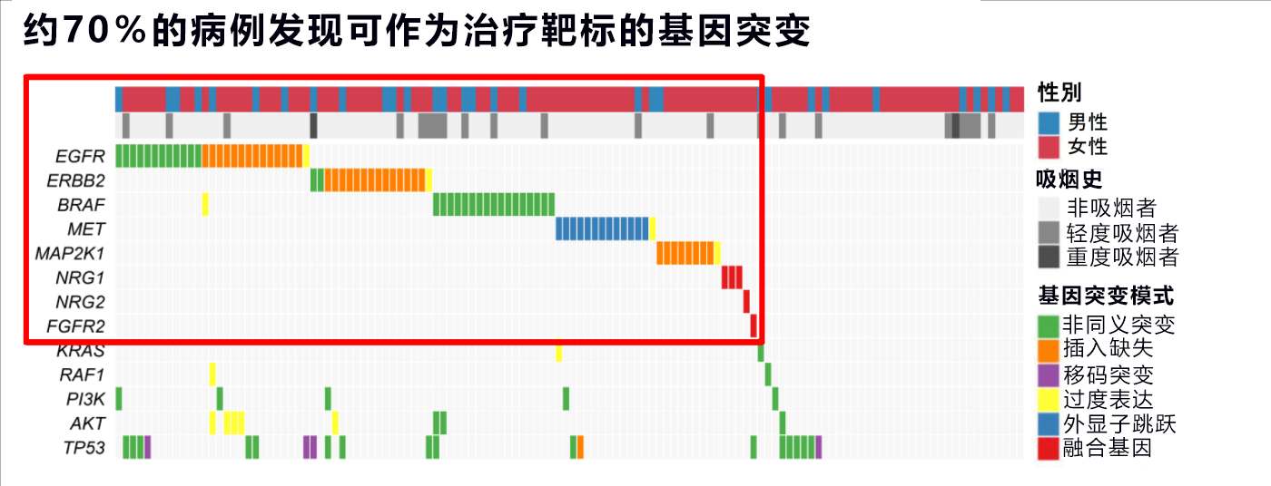 日本發現肺癌的新冶癒靶標及術後預後的預測標誌物