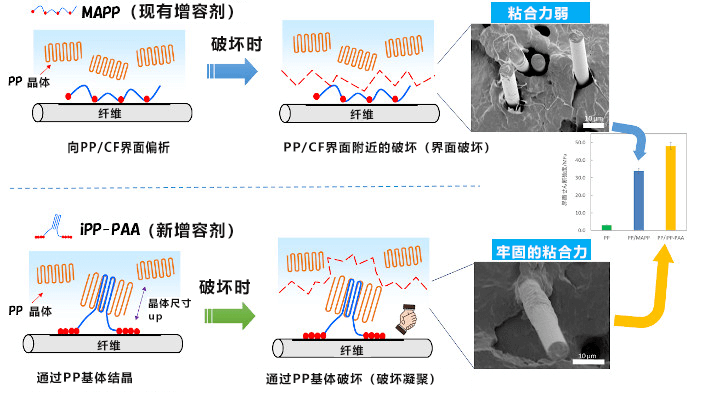 金澤工大開發出新型碳纖維複材，高強度高彈性導電性優異